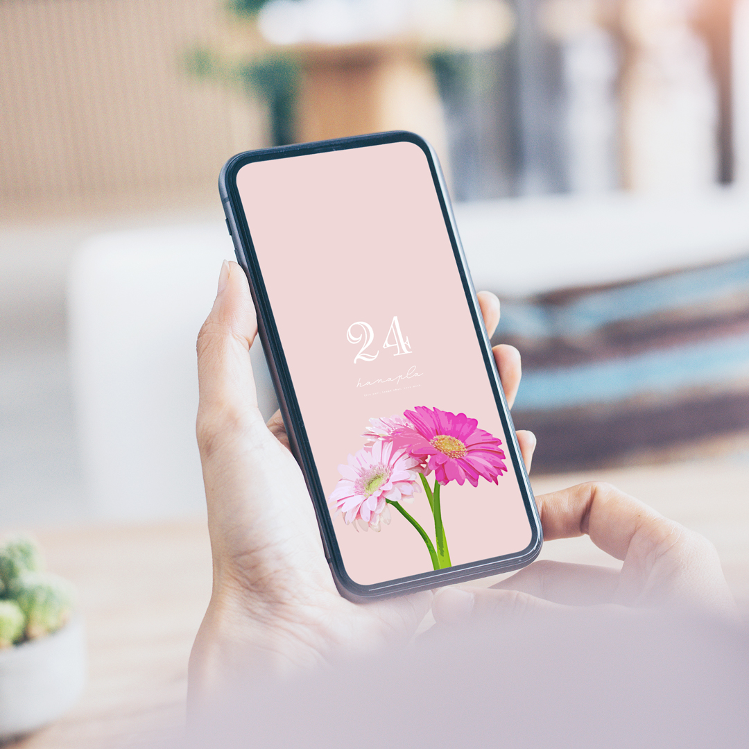 【最強開運】数字24と3本のガーベラが引き寄せる！ピンクベージュ背景の待ち受け画像