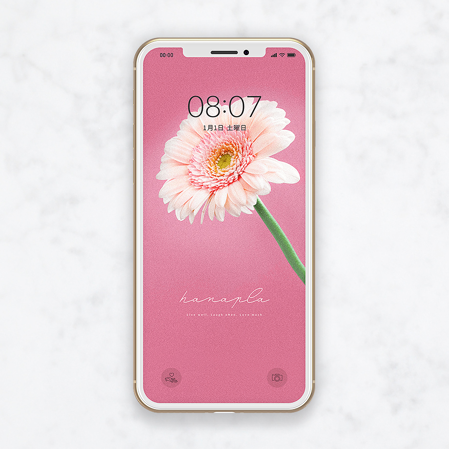 恋愛成就の超強力待ち受け ピンクのガーベラのスマホ壁紙 おしゃれ待ち受け 画像ハナプラ スマホ壁紙 無料 運気 シンプル かわいい Iphone 高画質